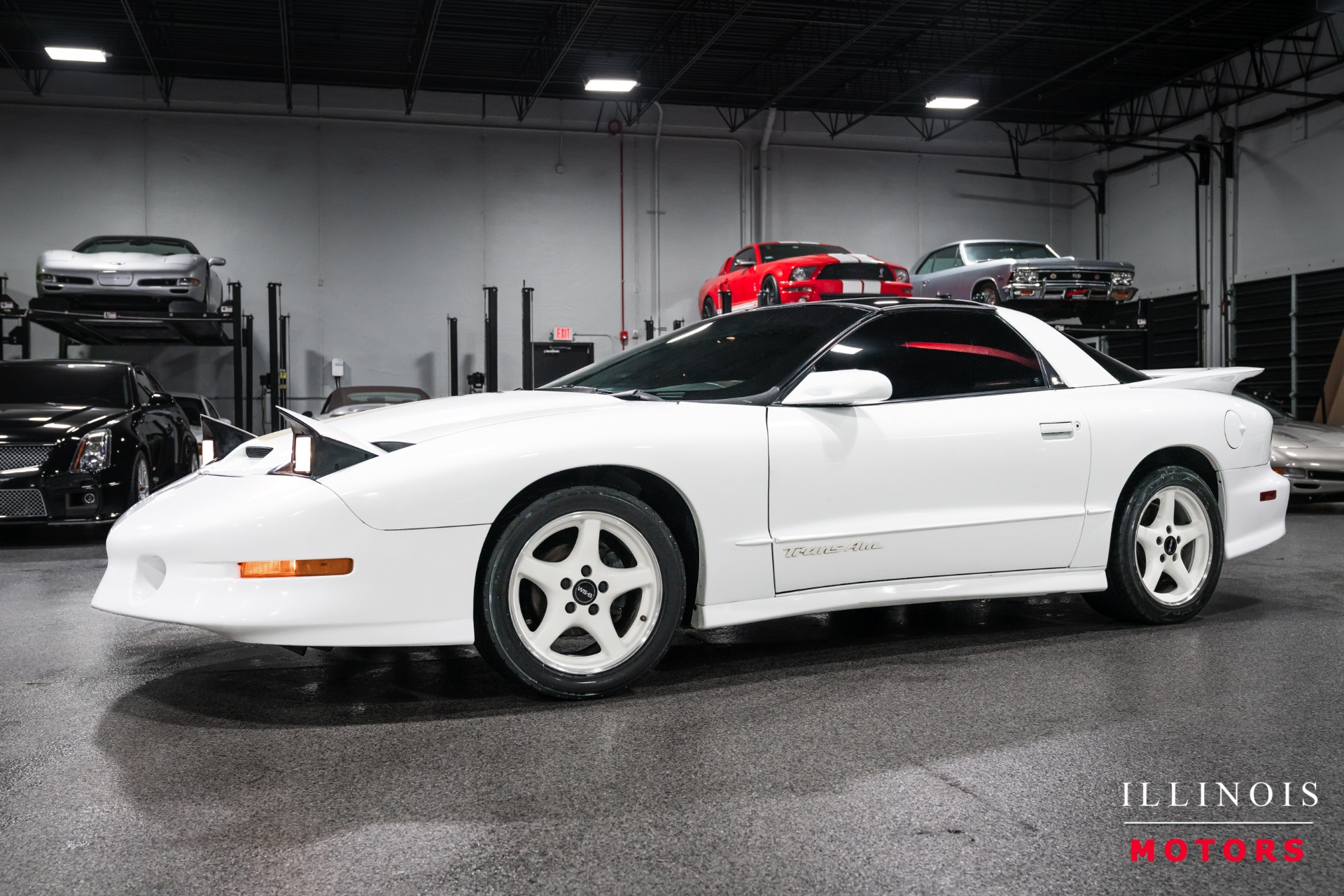 Bright White 1996 Pontiac Firebird Trans Am Coupe Rear-Wheel Drive 6-Speed Manual