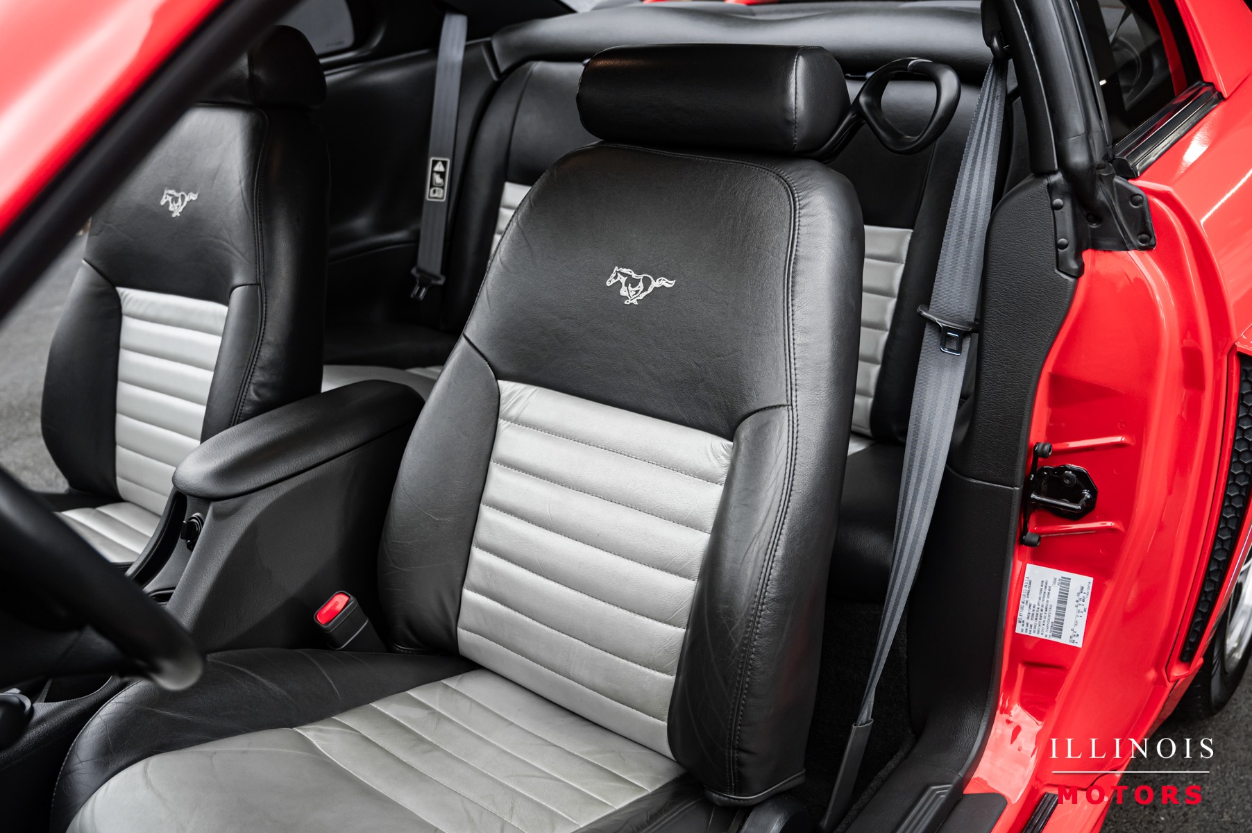 1999 Ford Mustang GT photo 19