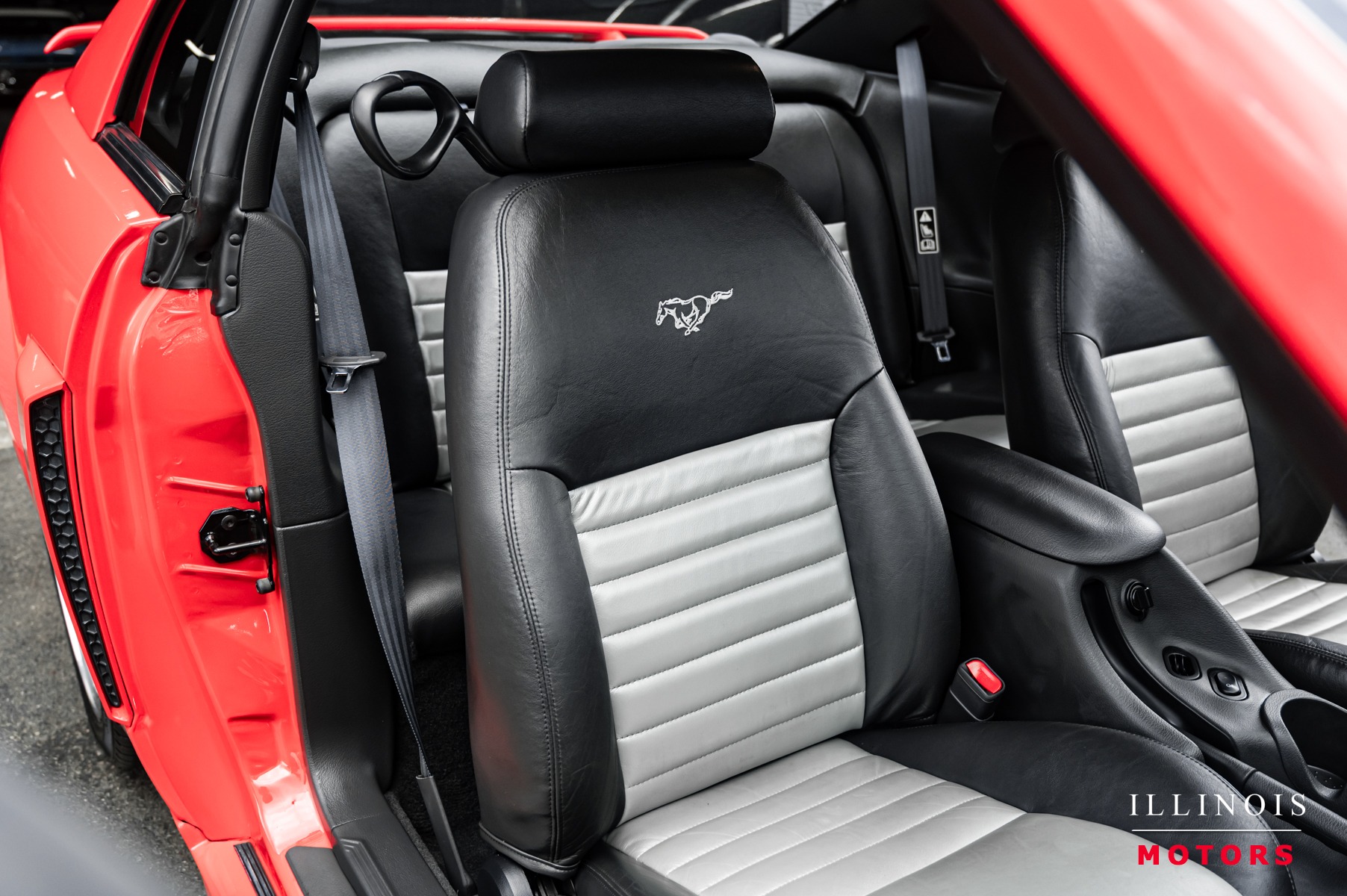 1999 Ford Mustang GT photo 31