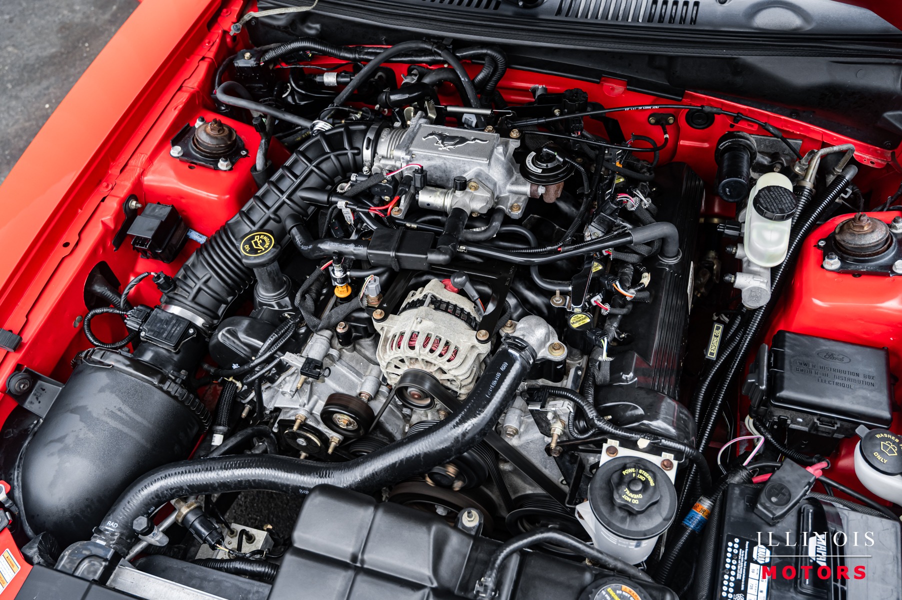 1999 Ford Mustang GT photo 34