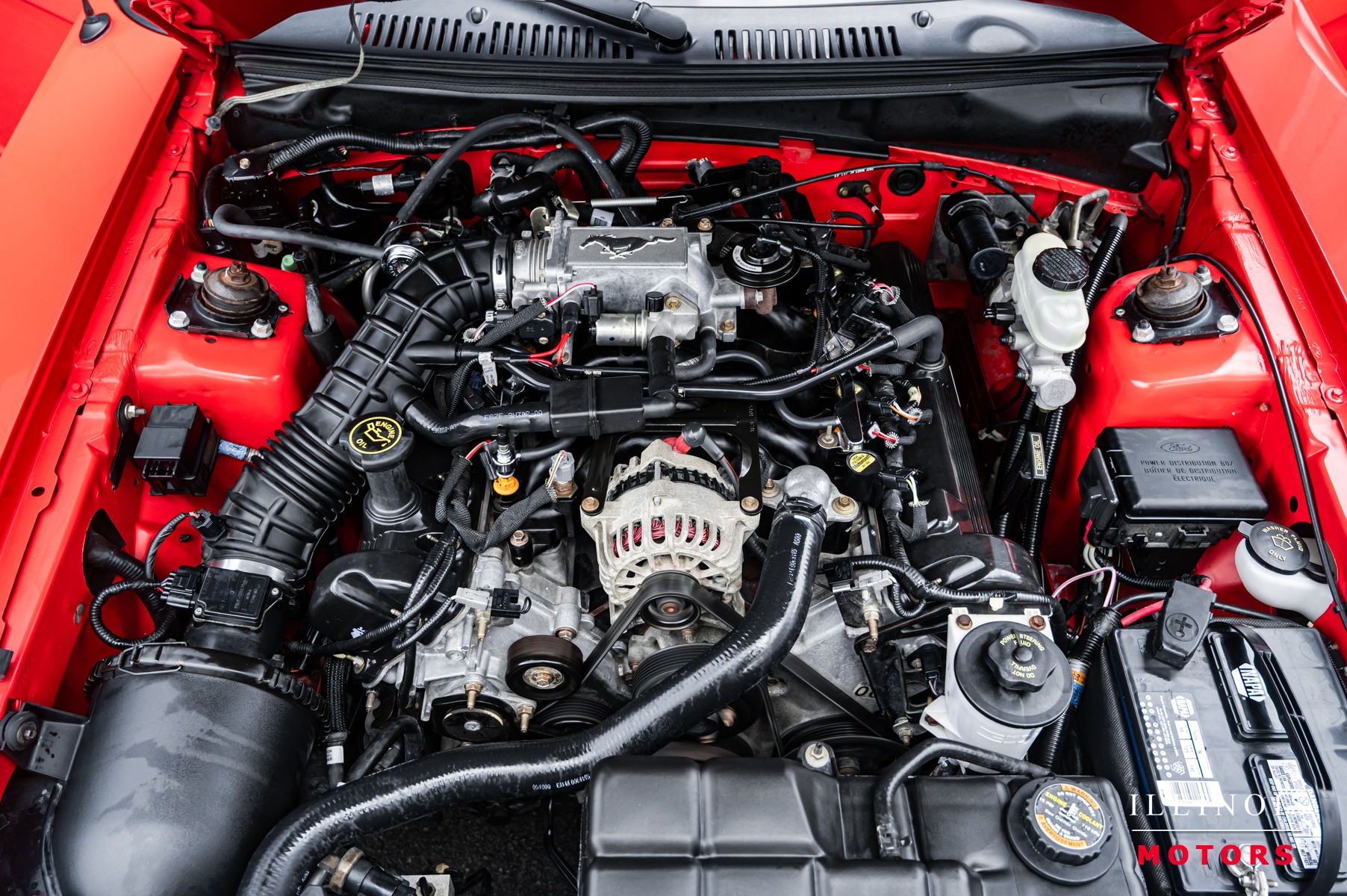 1999 Ford Mustang GT photo 35