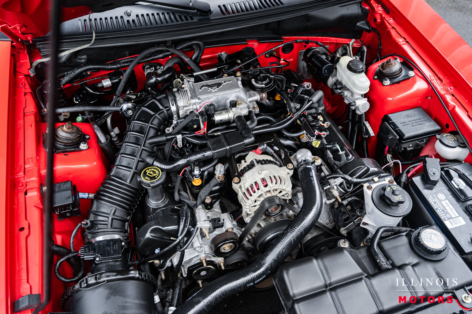1999 Ford Mustang GT photo 36