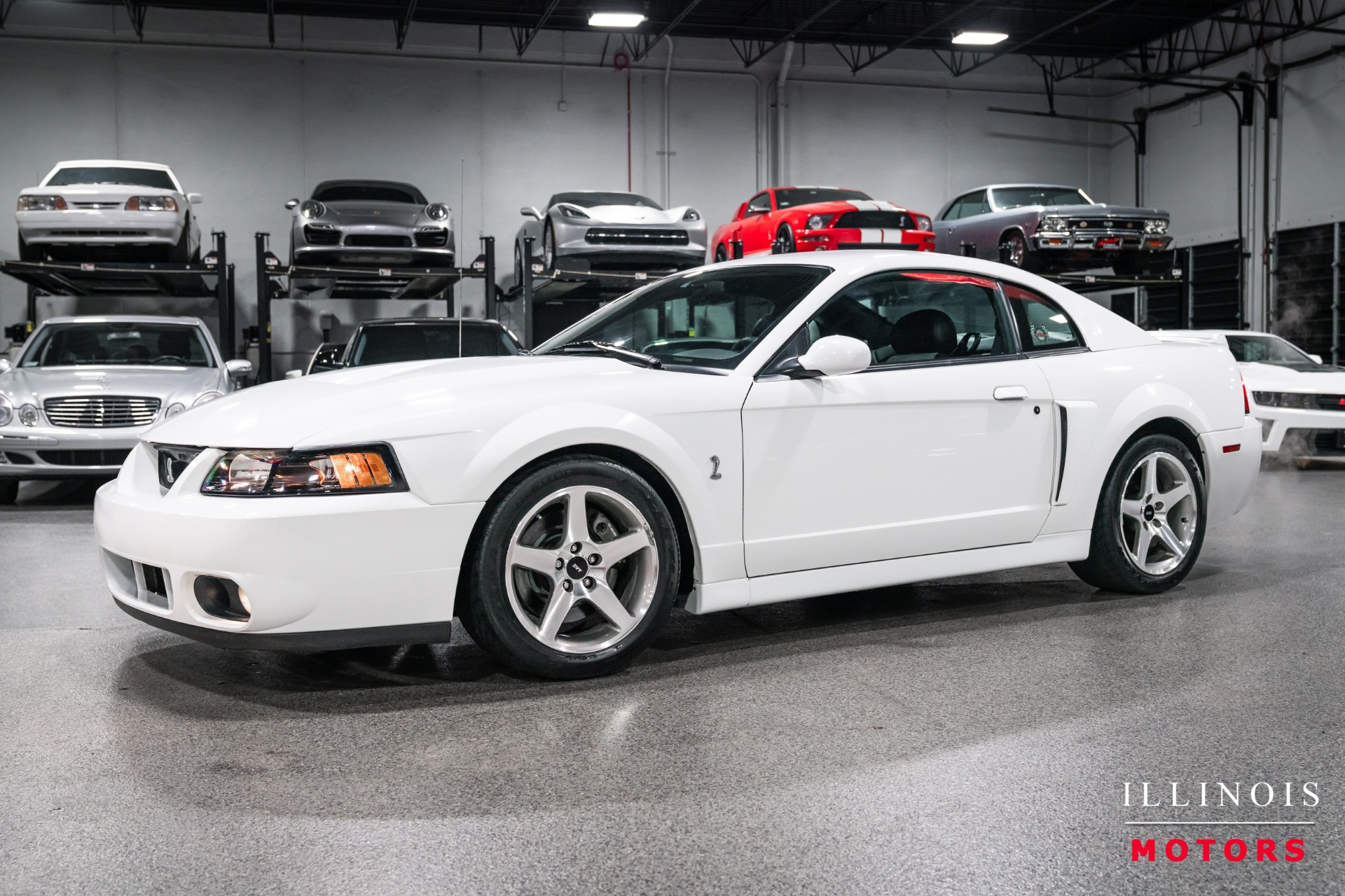 2003 Ford Mustang Cobra SVT's photo