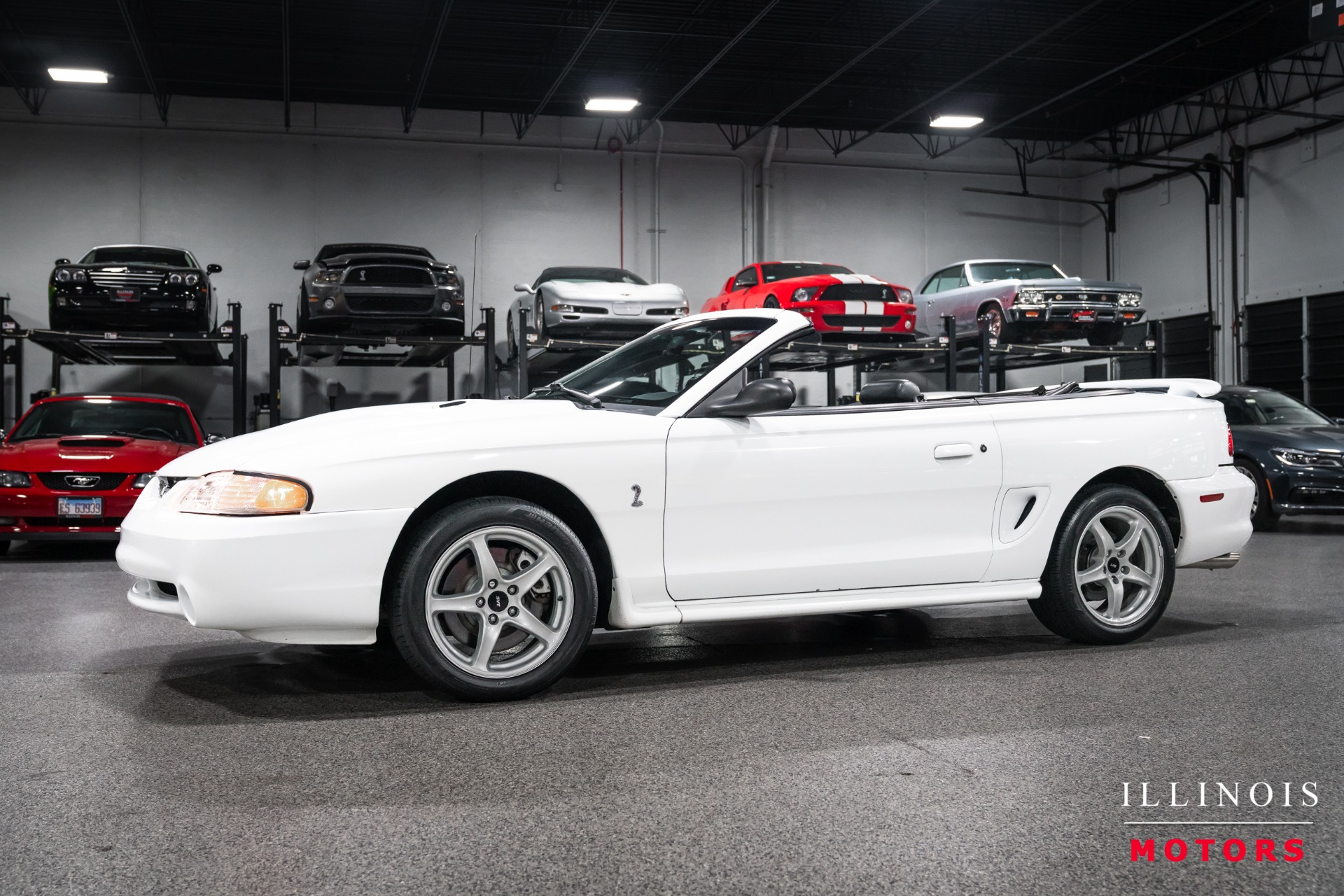 1998 Ford Mustang COBRA SVT CONVERTIBLE's photo