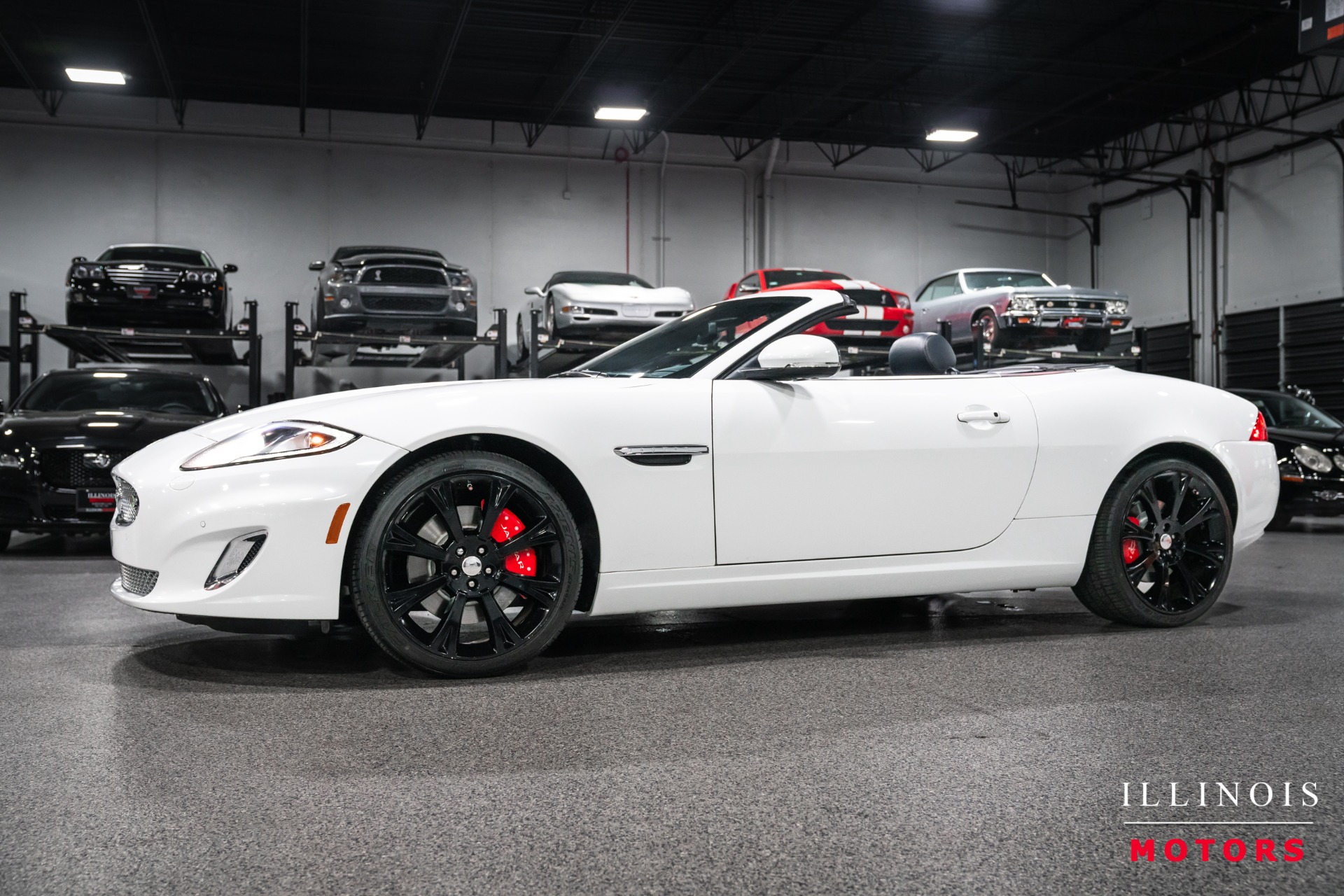2014 Jaguar XK XK Convertible's photo